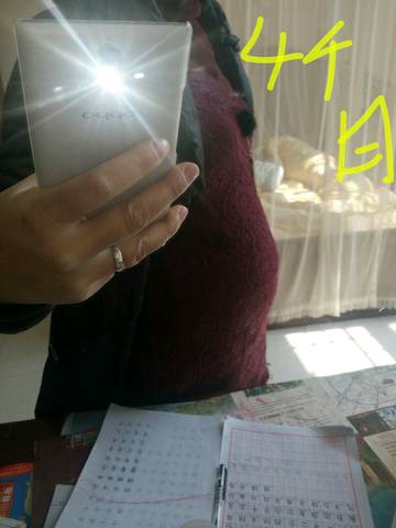 journal_insert_pic_720597598
