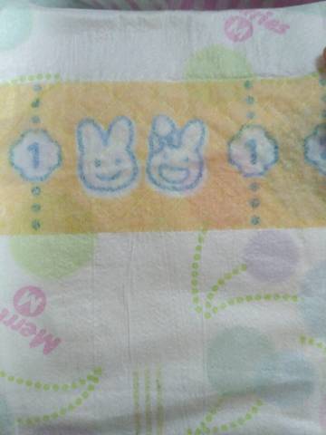 journal_insert_pic_720152556