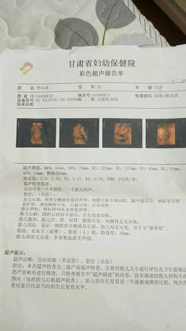 journal_insert_pic_720327649