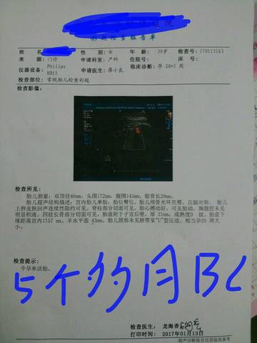 journal_insert_pic_720597400