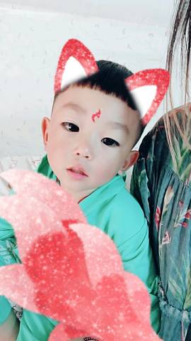 journal_insert_pic_721337656