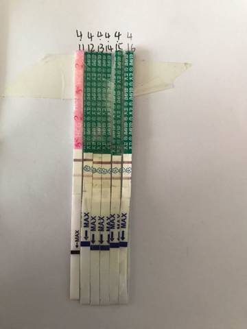 journal_insert_pic_720926212