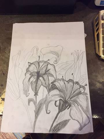 journal_insert_pic_721179428