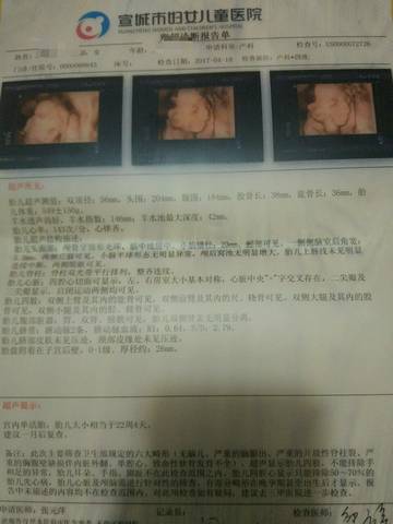 journal_insert_pic_721333233