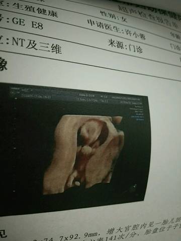 journal_insert_pic_722104893