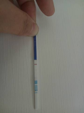 journal_insert_pic_722099054