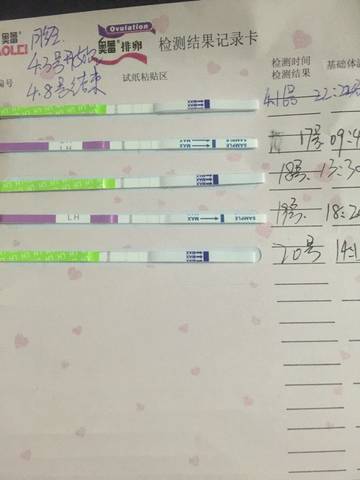 journal_insert_pic_722901104
