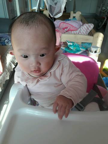 journal_insert_pic_722434524