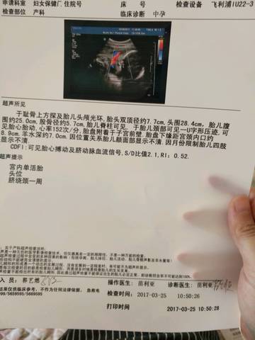 journal_insert_pic_723537277