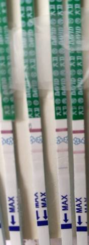 journal_insert_pic_723239371