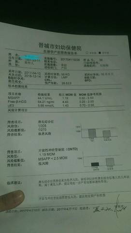 journal_insert_pic_724018194