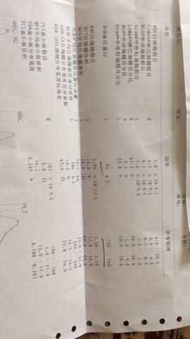 journal_insert_pic_724155653
