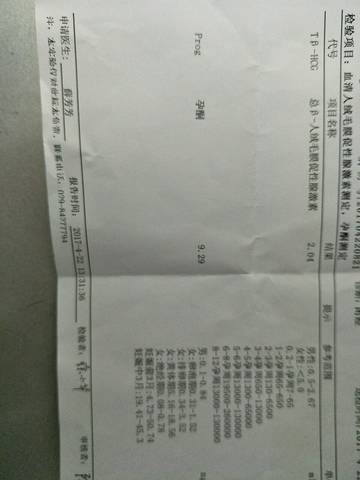 journal_insert_pic_724330145
