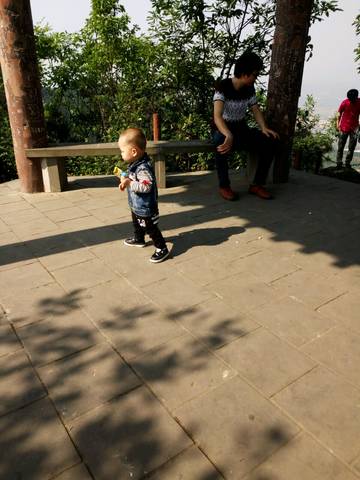 journal_insert_pic_724932556
