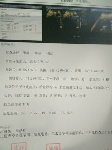 journal_insert_pic_724822476
