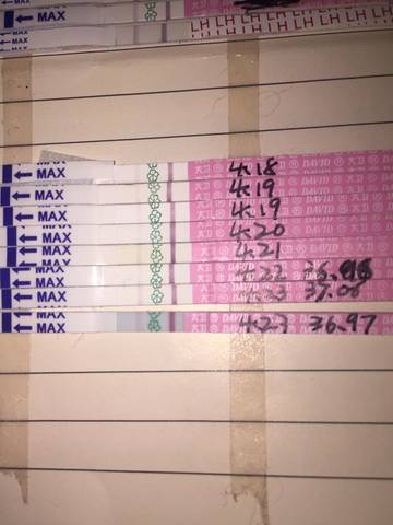journal_insert_pic_725028785