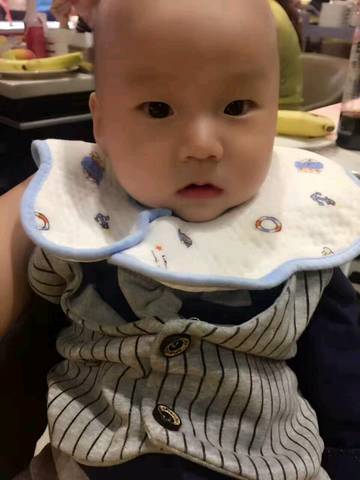 journal_insert_pic_724840319