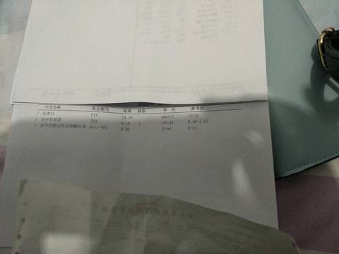 journal_insert_pic_726843448