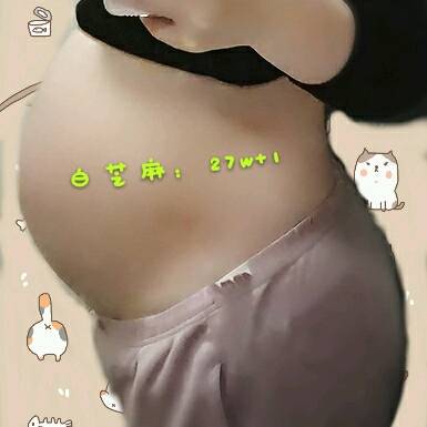 journal_insert_pic_726860530