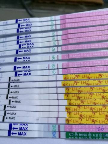 journal_insert_pic_727498401