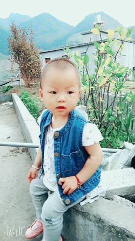 journal_insert_pic_728506738