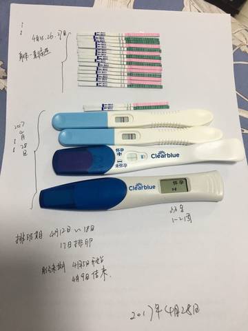 journal_insert_pic_729275028