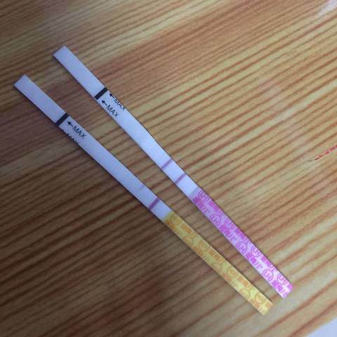 journal_insert_pic_728723025