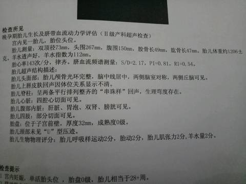 journal_insert_pic_729275090