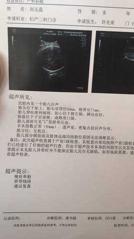 journal_insert_pic_728892777