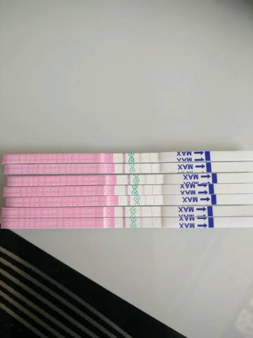 journal_insert_pic_728886662