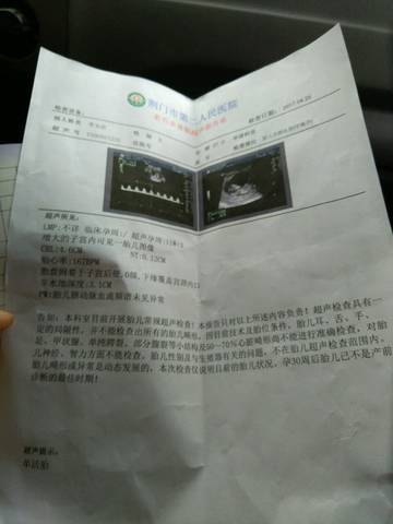 journal_insert_pic_729440167