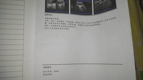 journal_insert_pic_729902656