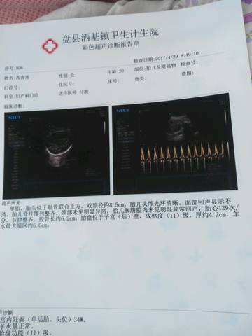 journal_insert_pic_729711416