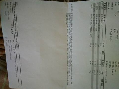 journal_insert_pic_729400123