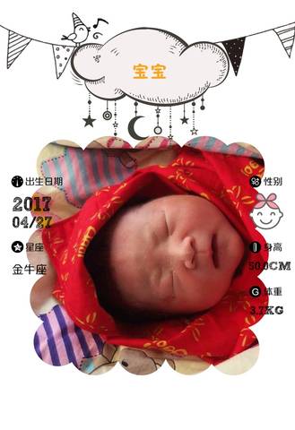 journal_insert_pic_730166801