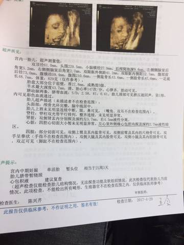 journal_insert_pic_730136817