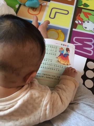 journal_insert_pic_731380128