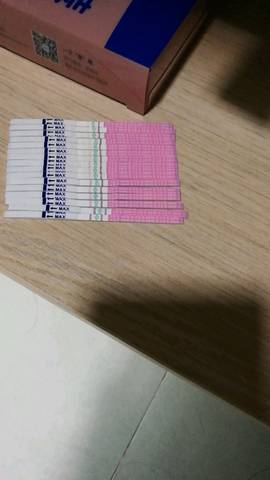 journal_insert_pic_731059621