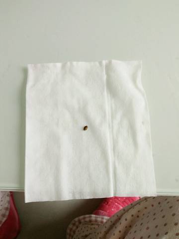 journal_insert_pic_732234097