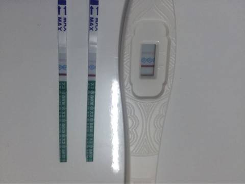 journal_insert_pic_732114675