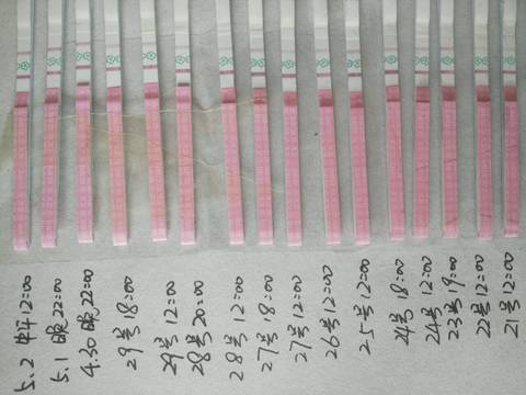 journal_insert_pic_732090549