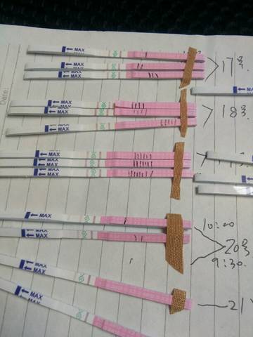 journal_insert_pic_731884180
