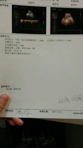 journal_insert_pic_733133175