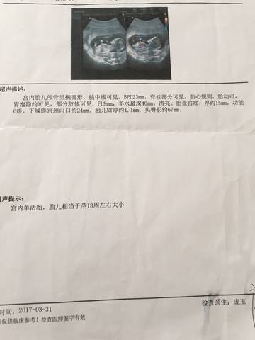 journal_insert_pic_733079263