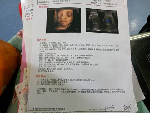 journal_insert_pic_734281600