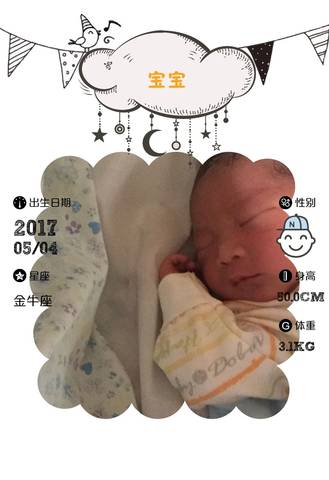 journal_insert_pic_734012148