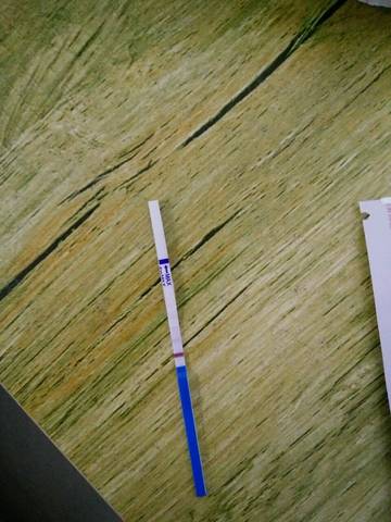 journal_insert_pic_734336642