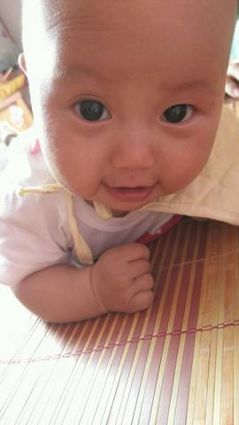journal_insert_pic_735270851