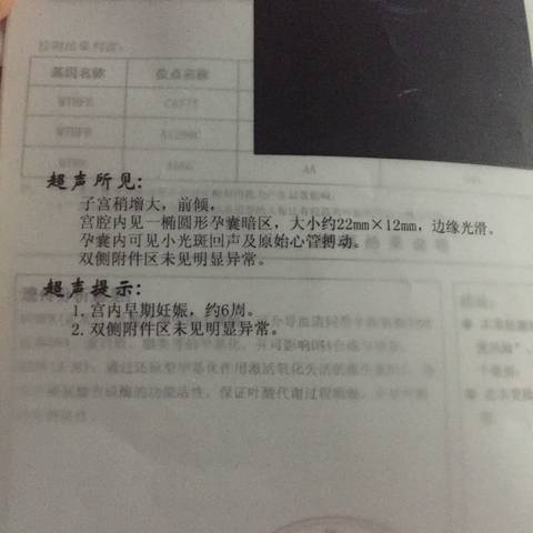 journal_insert_pic_735687969