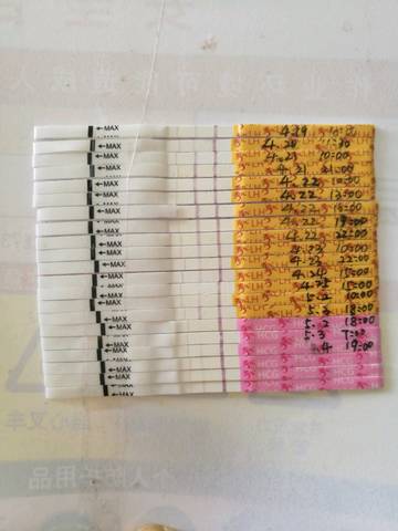 journal_insert_pic_735234465